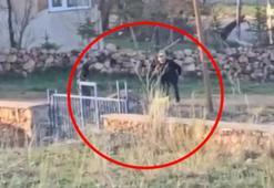 Eşeğe sopalı eziyet kamerada