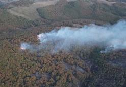 Kocaeli'de orman ve makilik alanlara giriş yasağı