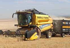 Mardin’de ilk arpa hasadı yapıldı; çiftçi gram altınla ödüllendirildi