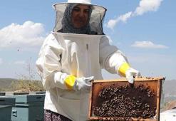 Çocukları için arıcılığa başlayan 3 çocuk annesi, kovan sayısını 5'ten 50'ye çıkardı