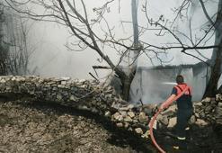 Kütahya'da 4 kümes yandı; 100 tavuk öldü