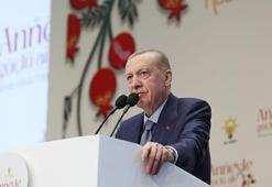 Cumhurbaşkanı Erdoğan: Terörsüz Türkiye hedefine giden yolda sağlam adımlarla ilerliyoruz