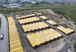 Kurban pazarları kurulmaya başladı; kurbanlıklar 22 Mayıs'ta İstanbul'da