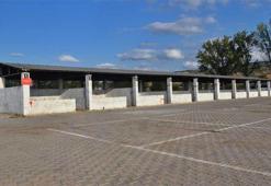 Yenişehir’de Kurban Bayramı öncesi şap karantinası; hayvan pazarı kapatıldı