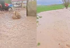 Sivas'ta sağanak sele neden oldu