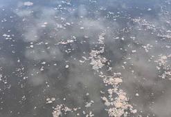 Yalova'da kanalizasyon suyu denize aktı, YASKİ'ye 4 milyon lira ceza yazıldı