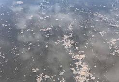 Yalova'da kanalizasyon suyu denize aktı, YASKİ'ye 4 milyon lira ceza yazıldı