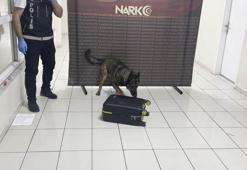 Otobüste valizine gizlediği uyuşturucuyu ‘Mailo’ buldu; tutuklandı