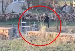 Sopalı şiddete uğrayan eşek öldü, hayvanseverler tepkili