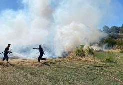 Bodrum'da ot yangınında 5 dönüm alan zarar gördü