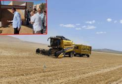 Mardin'de buğdayda ilk hasat yapıldı; kilosu 17 liradan satıldı