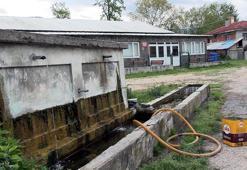 Bolu'da 4 köyde 80 kişi hastanelik oldu; içme suyundan numune alındı