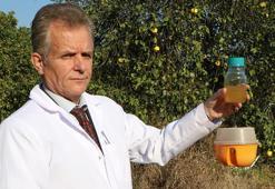 Türkiye’ye 3 milyar dolar zararı olan Akdeniz meyve sineğine karşı biyolojik ilaç geliştirildi