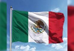 Meksika'da zincirleme kaza: 21 ölü