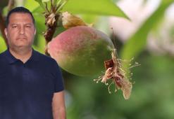 Prof. Dr. Kapur: Don olaylarına karşı daha geç çiçeklenen bitkiler tercih edilmeli