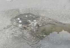 Bakanlıktan Çınarcık Belediyesi'ne 1,3 milyon TL ceza