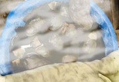 Kapıkule'de kaçak yollarla yurda sokulmak istenen 8 bin adet sülük ele geçirildi