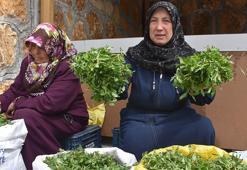 Köy kadınlarının zahmetli 'madımak' mesaisi