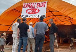 Ankara'da kurban pazarlarında yoğunluk