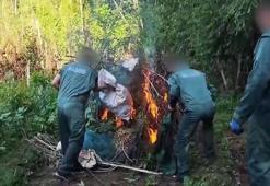 Diyarbakır’da 5,3 ton esrar üretilebilecek 30 bin kök kenevir ele geçirildi