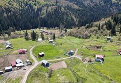 Bartın Uluyayla'da ilkbahar manzarası havadan görüntülendi