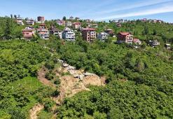 Heyelan sonrası alternatif yolda ‘vahşi hayvan’ korkusu