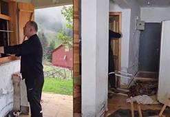 Aç kalan ayılar, belediye başkanının yayla evine girdi