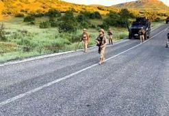 Diyarbakır'da 7 milyon 543 bin kök kenevir ve skunk ele geçirildi: 8 gözaltı