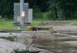 ABD'de fırtına nedeniyle hayatını kaybedenlerin sayısı 29'a yükseldi