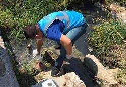 Bakanlık: Müsilajla mücadele kapsamında 268 işletmenin faaliyeti durduruldu