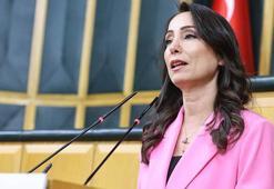 DEM Parti'li Hatimoğulları: Yeni sürecin çözüm adresi Meclis'tir