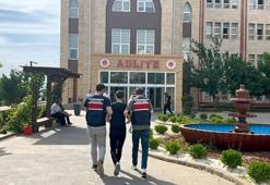 Köpeği motosiklete bağlayıp sürükleyen sürücü gözaltına alındı