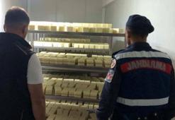 Sakarya'da 5 ton 'sahte' kaşar peyniri ele geçirildi