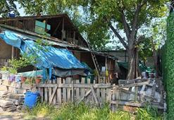 Üzüm yaprağı toplarken çatıdan düştü