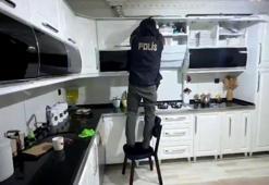 Usulsüz hayvan sevk belgesi düzenleyenlere operasyon: 9 gözaltı