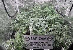 ‘Kasten yaralama’dan cezaevine girdi, evine ‘kenevir’ serası kurduğu ortaya çıktı