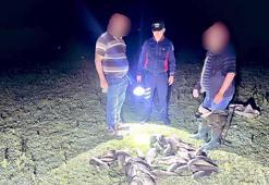Uluabat Gölü'nde kaçak avcılara baskın; ele geçirilen 466 kilo canlı balık göle salındı