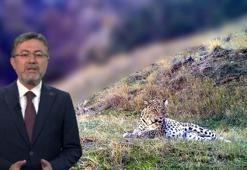 Bakan Yumaklı: Korunan alanlarımızı bilimsel stratejilerle artırıyoruz