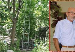 Kiraz ağacından düşüp öldü