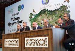Bilim insanları, Türkiye'nin yaban hayatını Van'da konuşuyor