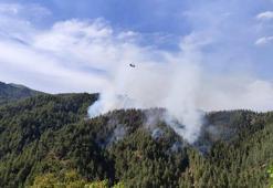 Kahramanmaraş’ta orman yangını