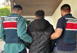 Bakan Yerlikaya: 4 il merkezli dolandırıcılık operasyonunda 35 şüpheli tutuklandı