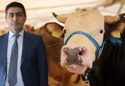 Kayseri Kırmızı Et Üreticileri Birliği Başkanı'ndan 'kurban' uyarısı