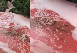 Rize'de rengi kırmızıya dönen derede inceleme