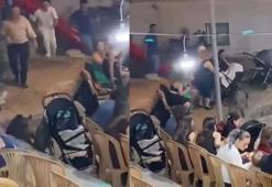 Düğündeki kalabalığın arasına giren domuz kamerada