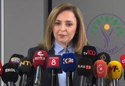 DEM Parti'li Doğan: Türkiye'nin kapsayıcı bir anayasaya ihtiyacı var