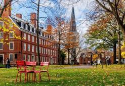 Harvard Üniversitesi, Trump yönetimine dava açtı