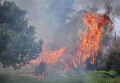 Çalılıkta çıkan yangına 1,5 saatlik müdahale