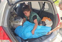 Veterinerde ölen köpeğinin yerine aynı gün sokak köpeğini sahiplendi