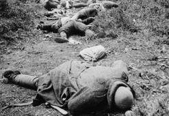 Çanakkale Savaşları'nda dikkat çeken doktor raporu: Koku dayanılmazdı